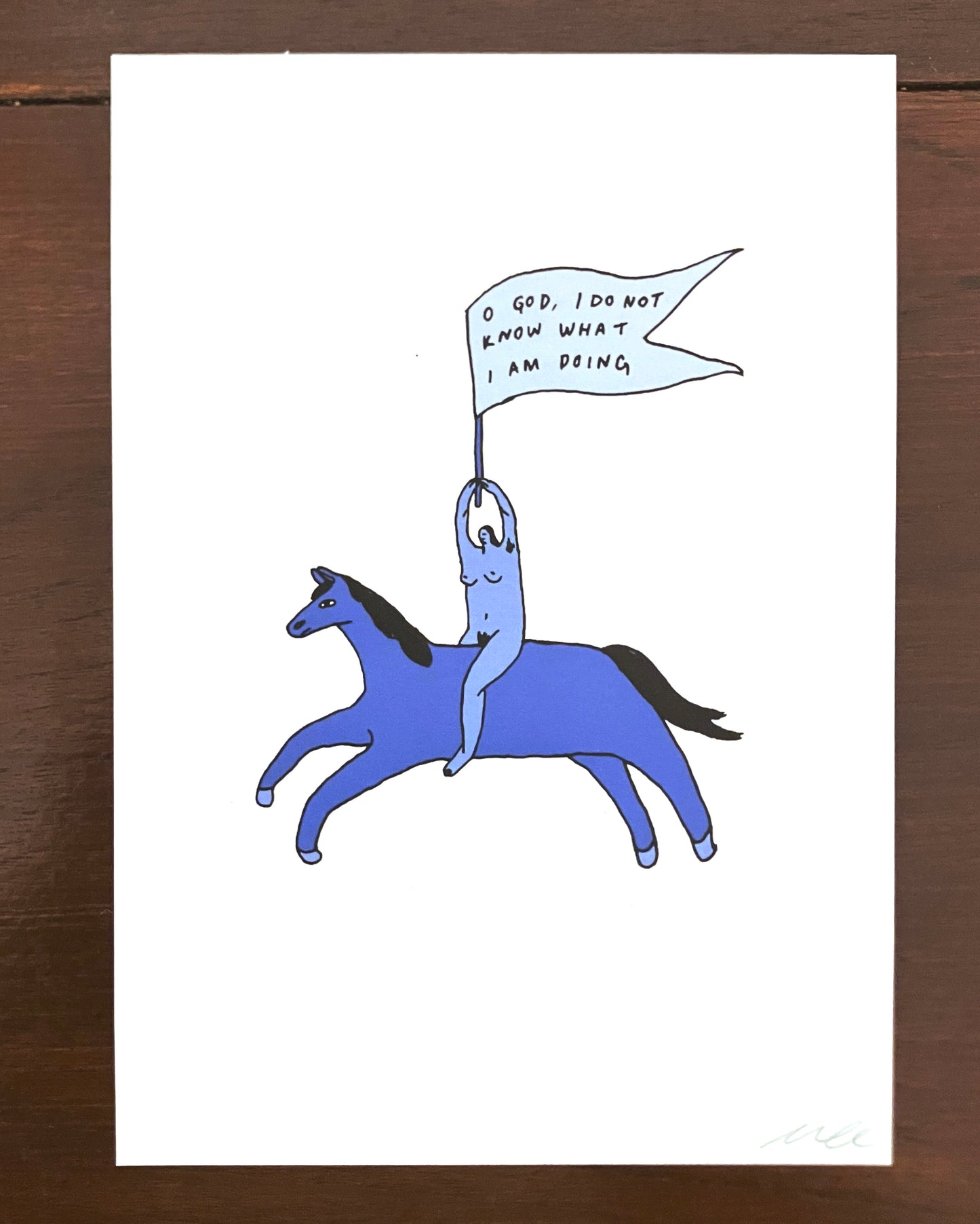 I have no idea what I am doing